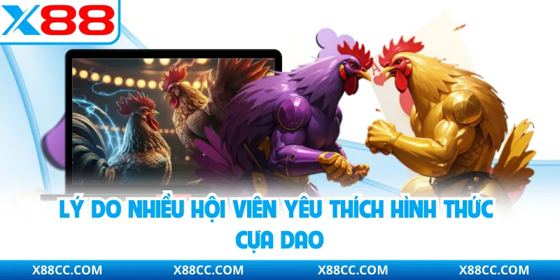 Đá Gà Cựa Dao X88 - Luật Thi Đấu Và Lý Do Được Yêu Thích 4 Lý do nhiều hội viên yêu thích hình thức cựa dao